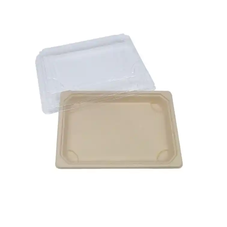 16.5x11.5cm Bamboo Fiber Disposable Sushi Tray