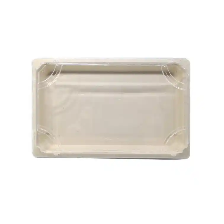 24x19cm Bamboo Fiber Disposable Sushi Tray