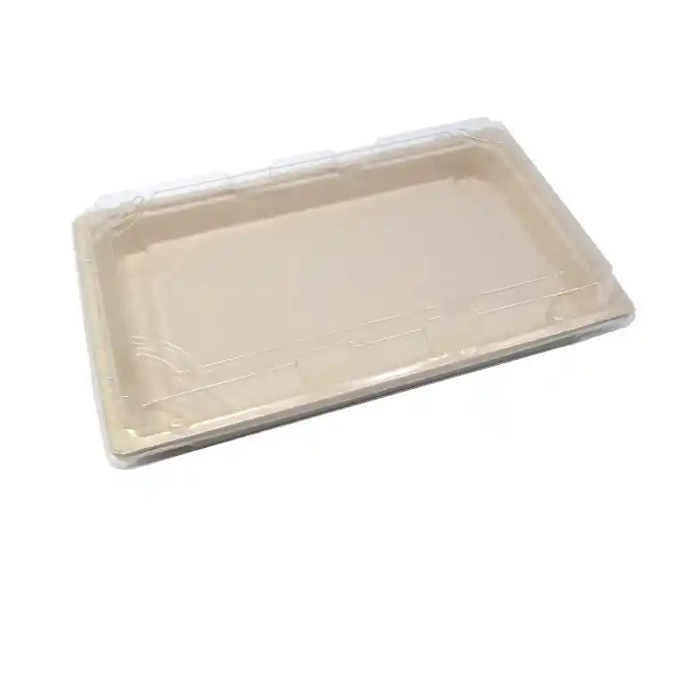 24x15cm Bamboo Fiber Disposable Sushi Tray