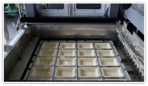 Raw Material Processing