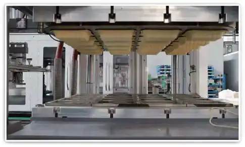 Packaging and Distribution