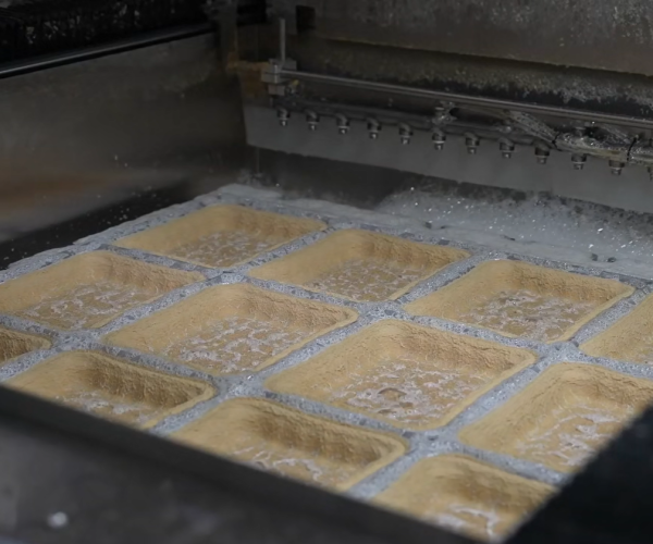 Thermoforming Manufacturing Plant