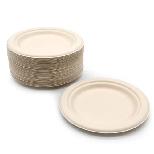 Disposable Tableware RP-06-S